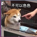 9980